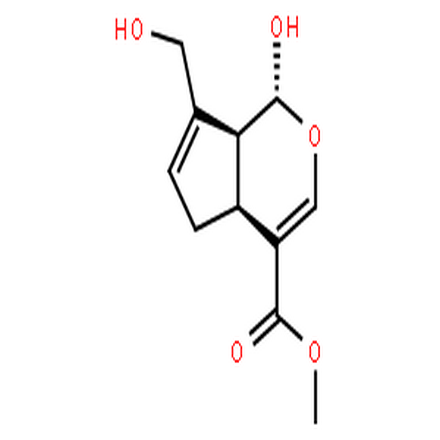 京尼平,1,4a,5,7a-Tetrahydro-1-hydroxy-7-(hydroxymethyl)-cyclopenta(c)pyran-4-carboxylic acid methyl ester