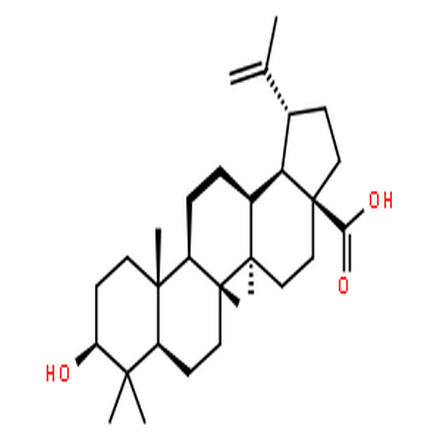 白桦脂酸,betulinic acid