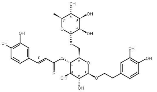 连翘脂苷A,Forsythoside A
