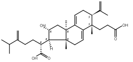 茯苓酸A,茯苓新酸A,poricoic acid A