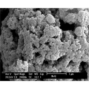 纳米二氧化锰,Manganese dioxide