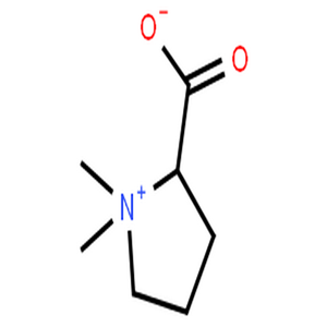 水苏碱,(S)-1,1-Dimethylpyrrolidin-1-ium-2-carboxylate