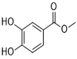 Methyl 3,4-dihydroxybenzoate,Methyl 3,4-dihydroxybenzoate