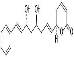 Cryptofolione,Cryptofolione