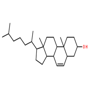 胆固醇,6-Cholesten-3b-ol