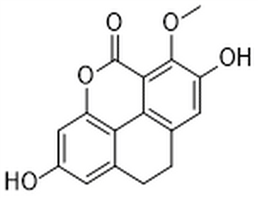 Isooxoflaccidin