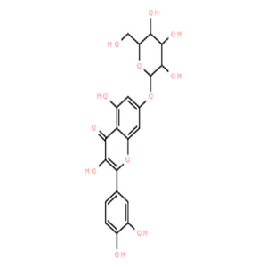 槲皮素-7-O-葡萄糖苷