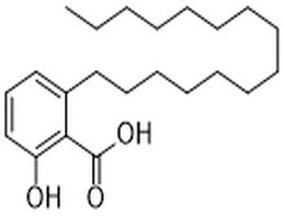 Anacardic acid,Anacardic acid