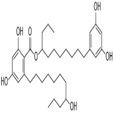 Integracin B,Integracin B