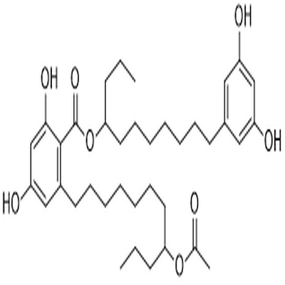 Integracin A,Integracin A