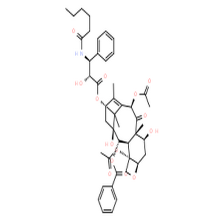 紫杉醇C,TAXOL C(P)