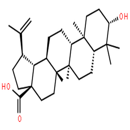 表白桦脂酸,Epibetulinic acid