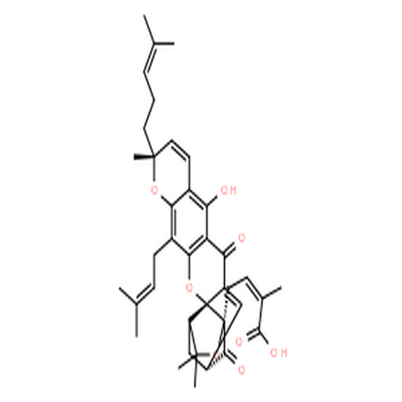 藤黄酸,gambogic acid