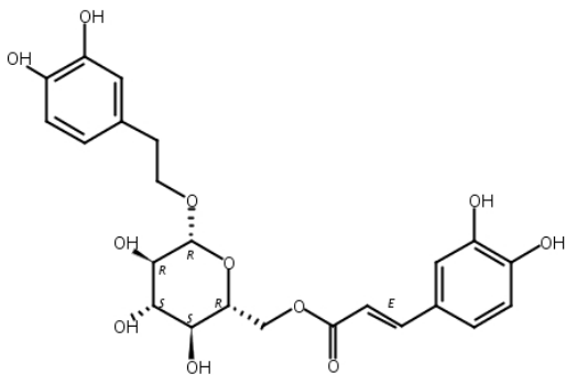 木通苯乙醇苷B,Calceolarioside B