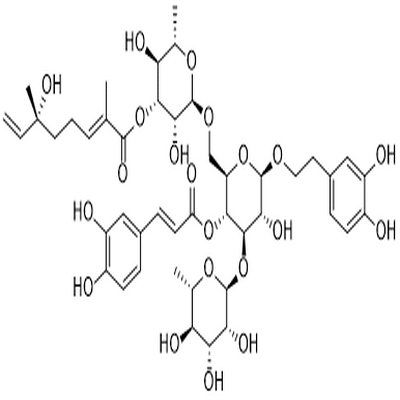 Jasnervoside C,Jasnervoside C