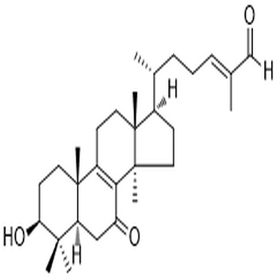 Lucidal,Lucidal