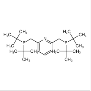 2,6 -雙(二叔丁基磷酸甲基)吡啶,2,6-Bis(di-tert-butylphosphinomethyl)pyridine