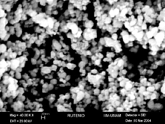 纳米钌粉；钌炭催化剂；钌碳；钌黑,Ruthenium