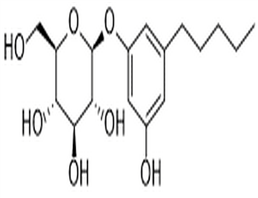 11-Dehydroxygrevilloside B