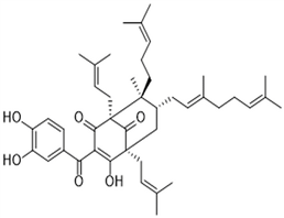 Guttiferone G