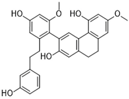 Phochinenin I