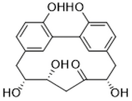 Carpinontriol A