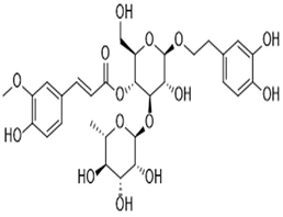 Leucosceptoside A