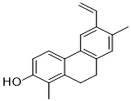 Juncuenin A