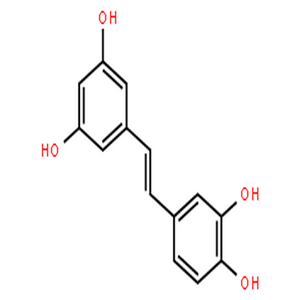 白皮杉醇,trans-Piceatannol