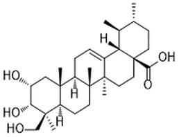 2α,3α,24-Trihydroxyurs-12-en-28-oic acid,2α,3α,24-Trihydroxyurs-12-en-28-oic acid