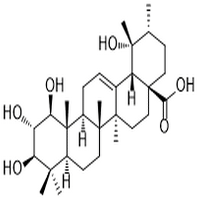 1β,2α,3β,19α-Tetrahydroxy-12-ursen-28-oic acid,1β,2α,3β,19α-Tetrahydroxy-12-ursen-28-oic acid