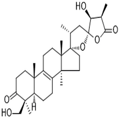 Scillascillone,Scillascillone