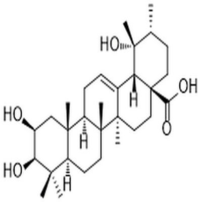 2-Epitormentic acid,2-Epitormentic acid