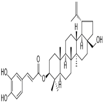 Betulin caffeate,Betulin caffeate