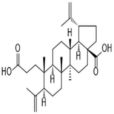 3,4-Secolupa-4(23),20(29)-diene-3,28-dioic acid,3,4-Secolupa-4(23),20(29)-diene-3,28-dioic acid