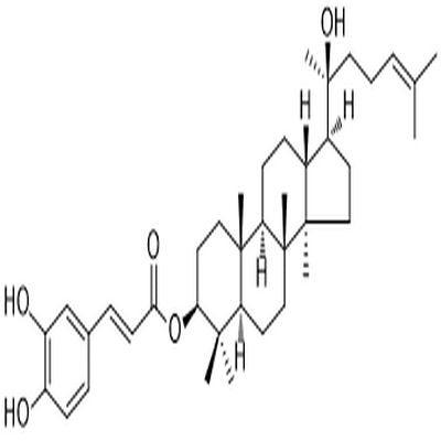 Dammarenediol II 3-O-caffeate,Dammarenediol II 3-O-caffeate