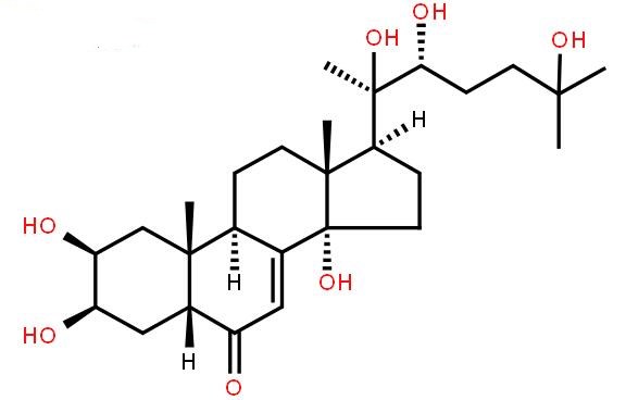 蜕皮激素,Hydroxyecdysone