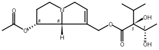 7-乙酰基印美定,7-Acetyllycopsamine