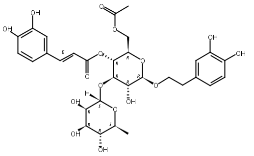 6-乙酰麥角甾苷,6-Acetylacteoside