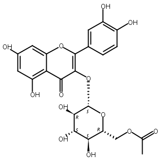 槲皮素-3-O-葡萄糖苷-6′′-乙酯,Quercetin-3-O-glucose-6′′-acetate