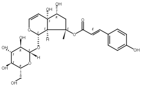 8-O-肉桂酰哈巴苷,8-p-Coumaroylharpagide