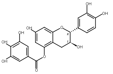 (+)-儿茶素5-没食子酸酯,(+)-atechin 5-gallate
