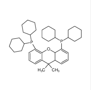 4,5-双(二环己基膦)-二苯并吡喃衍生物,4,5-Bis(dicyclohexylphosphino)-9,10a-dihydro- 9,9-dimethyl-8aH-xanthene