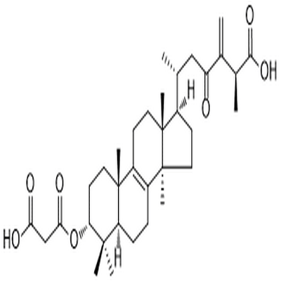 24(31)-Dehydrocarboxyacetylquercinic acid,24(31)-Dehydrocarboxyacetylquercinic acid