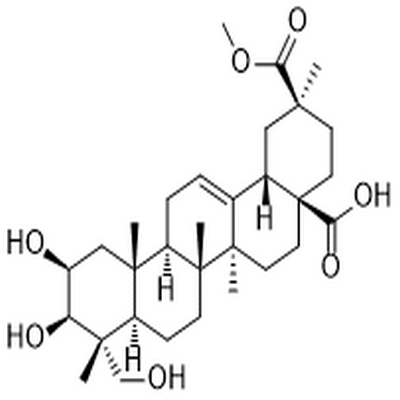 Phytolaccagenin,Phytolaccagenin