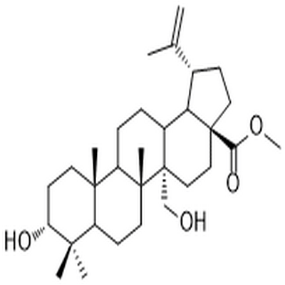 3,27-Dihydroxy-20(29)-lupen-28-oic acid methyl ester,3,27-Dihydroxy-20(29)-lupen-28-oic acid methyl ester