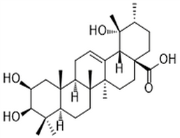 2-Epitormentic acid