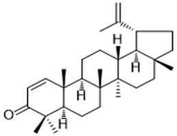 Glochidone