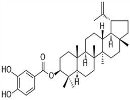 3,4-Dihydroxybenzoyllupeol,3,4-Dihydroxybenzoyllupeol