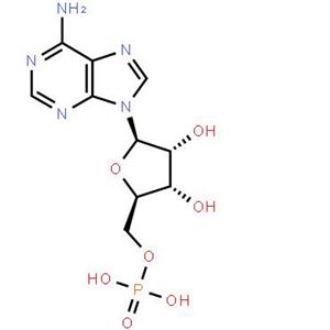 腺苷酸,Adenosine 5